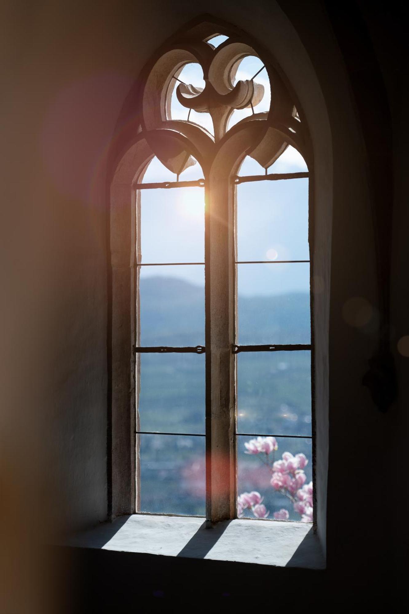 Schloss Freudenstein أبيانو سولاّ ستراذا المظهر الخارجي الصورة